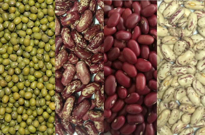 Free Template by uicookies.com