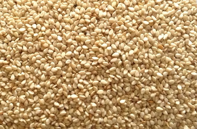 Free Template by uicookies.com