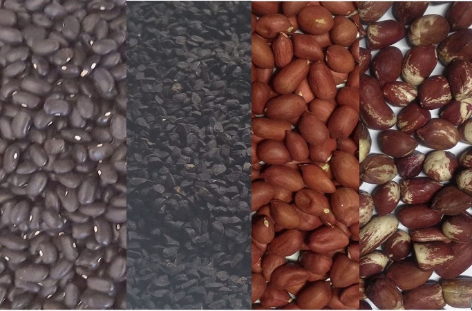 Free Template by uicookies.com